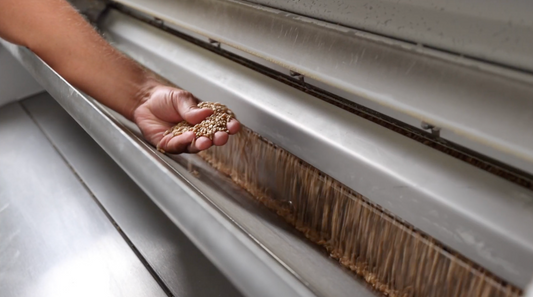 La Filiera Frati: Consapevolezza, Relazioni, Responsabilità