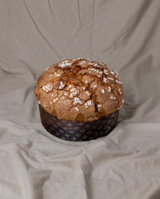 Panettone