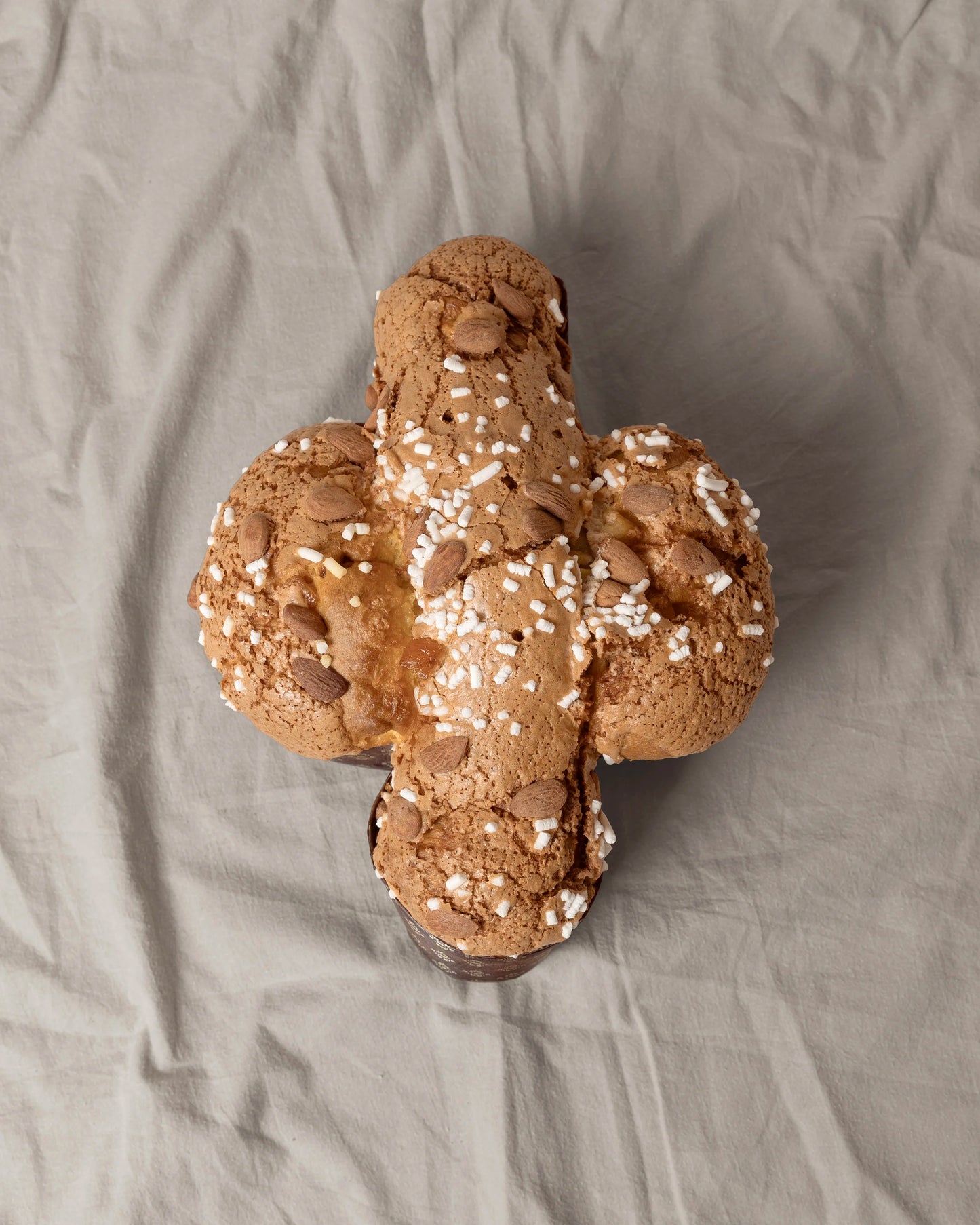 Albicocche & Maraschino