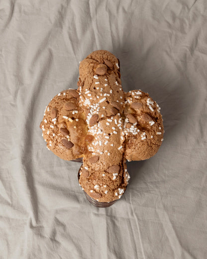 Albicocche & Maraschino