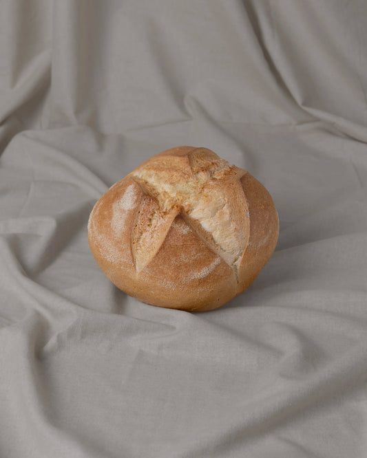 Pane Pugliese