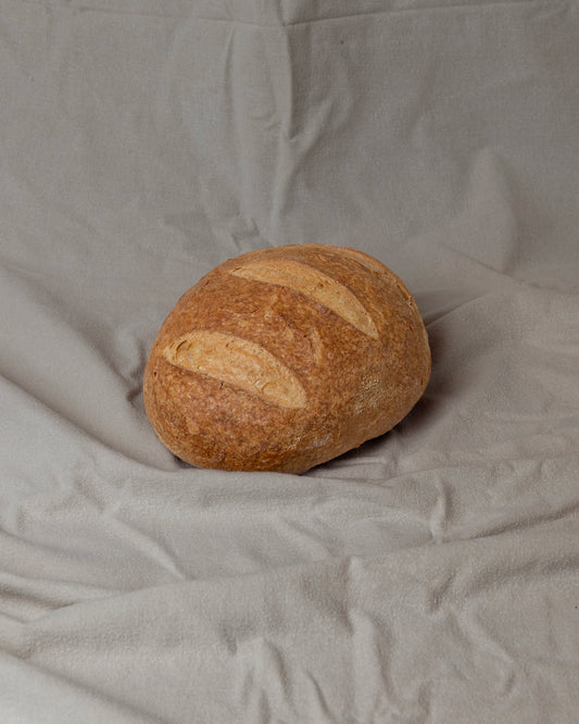 Pane del Senatore