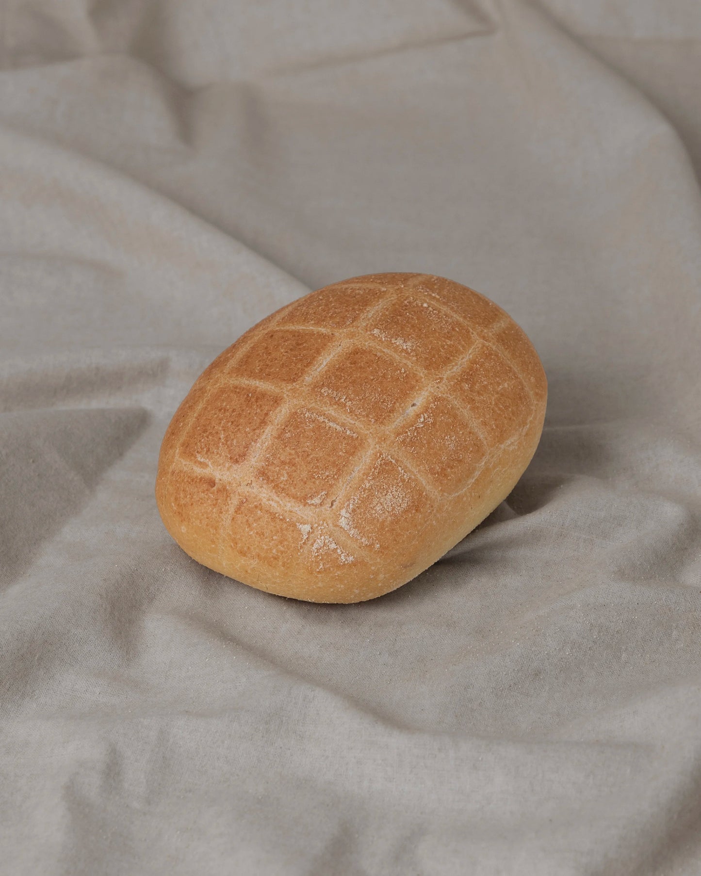 Tartaruga