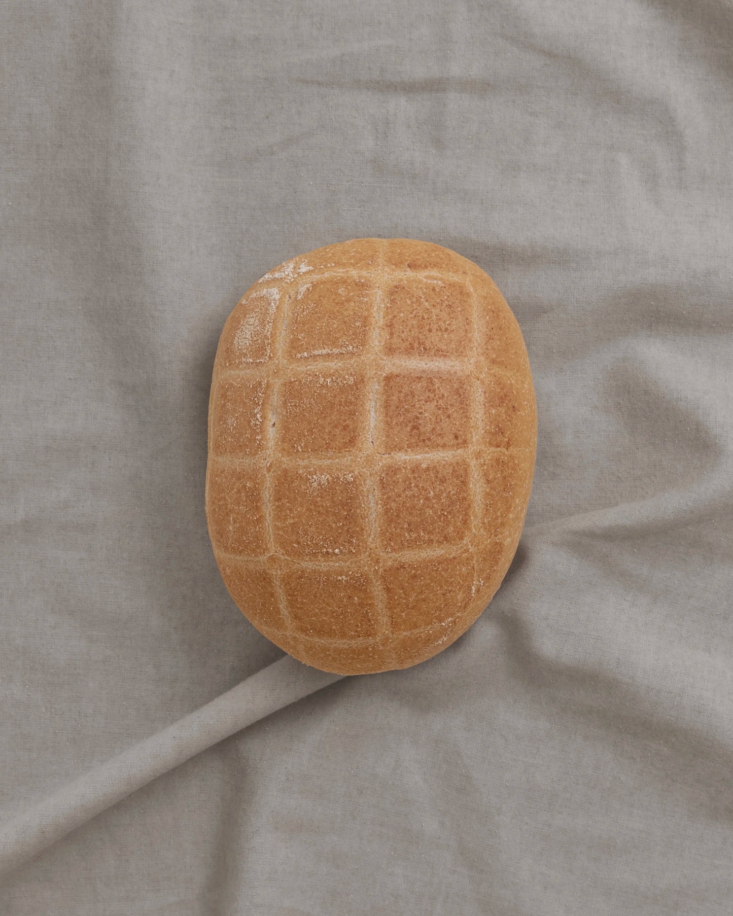 Tartaruga