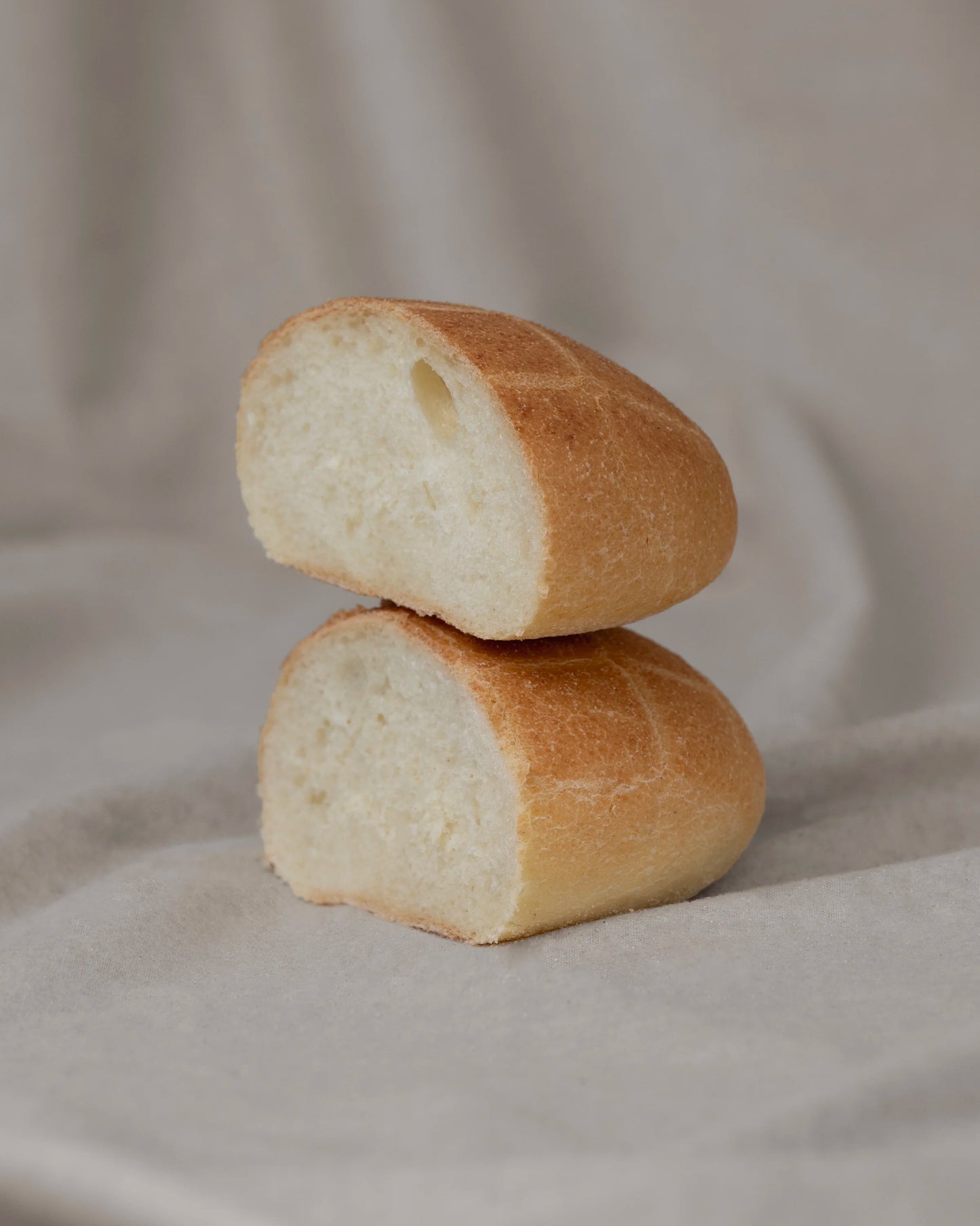 Tartaruga